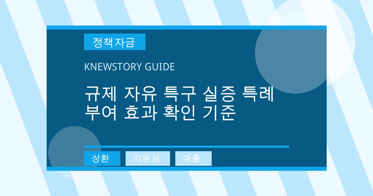 규제 자유 특구 실증 특례 부여 효과 확인 기준 - 상환, 지원금, 매출 대표 이미지