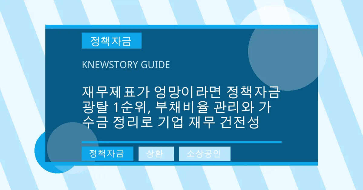 재무제표가 엉망이라면 정책자금 광탈 1순위, 부채비율 관리와 가수금 정리로 기업 재무 건전성 - 정책자금, 상환, 소상공인 대표 이미지