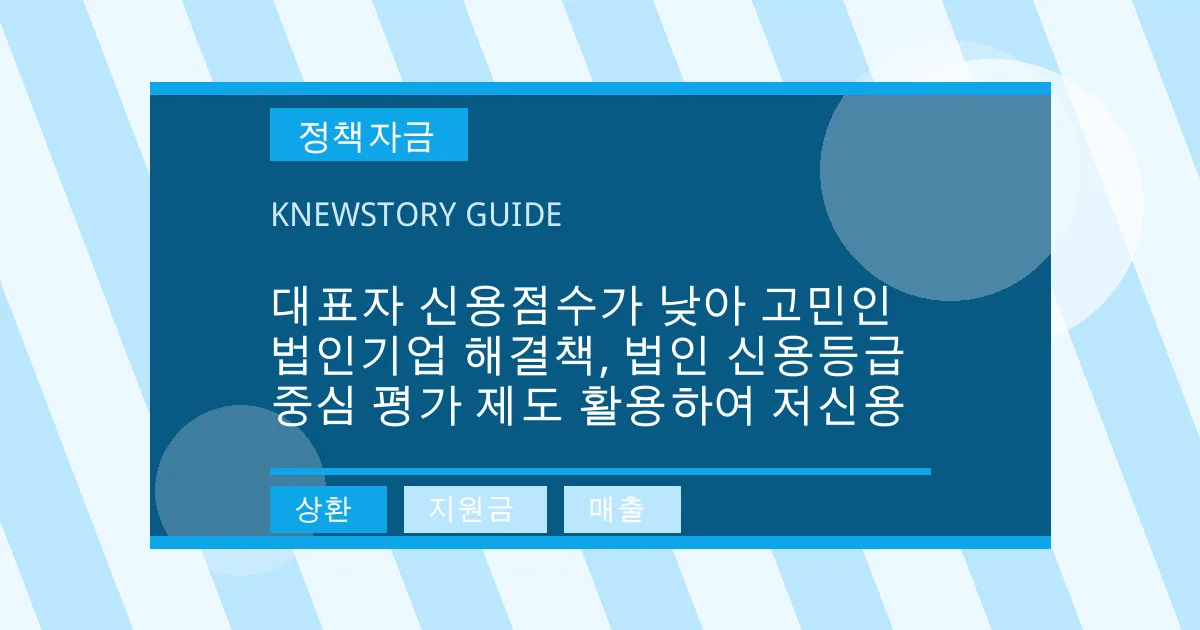 대표자 신용점수가 낮아 고민인 법인기업 해결책, 법인 신용등급 중심 평가 제도 활용하여 저신용 - 상환, 지원금, 매출 대표 이미지