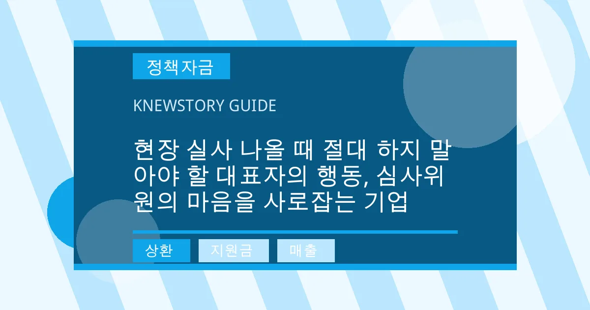 현장 실사 나올 때 절대 하지 말아야 할 대표자의 행동, 심사위원의 마음을 사로잡는 기업 - 상환, 지원금, 매출 대표 이미지