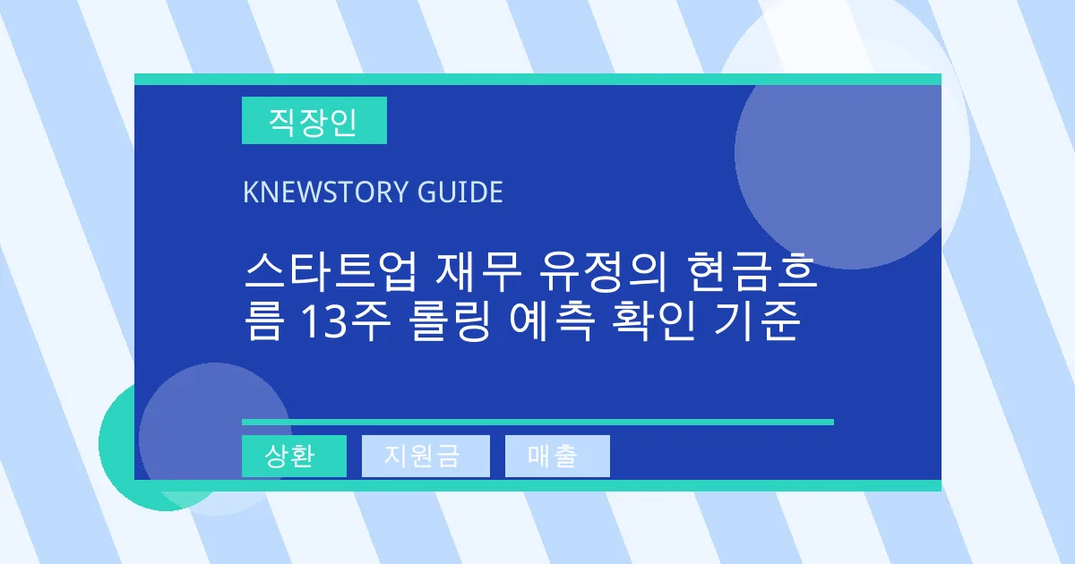 스타트업 재무 유정의 현금흐름 13주 롤링 예측 확인 기준 - 상환, 지원금, 매출 대표 이미지