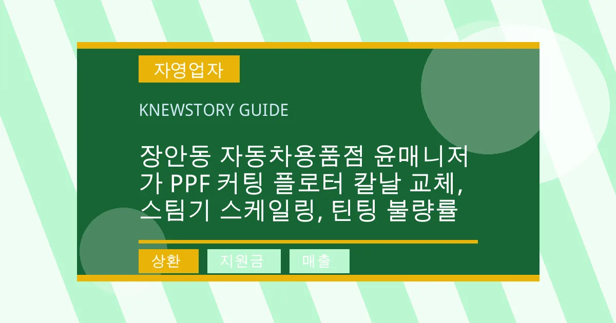 장안동 자동차용품점 윤매니저가 PPF 커팅 플로터 칼날 교체, 스팀기 스케일링, 틴팅 불량률 - 상환, 지원금, 매출 대표 이미지
