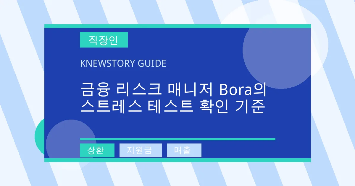 금융 리스크 매니저 Bora의 스트레스 테스트 확인 기준 - 상환, 지원금, 매출 대표 이미지