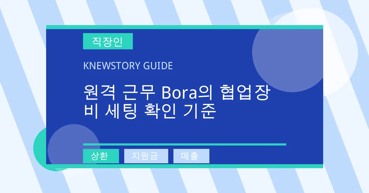 원격 근무 Bora의 협업장비 세팅 확인 기준 - 상환, 지원금, 매출 대표 이미지