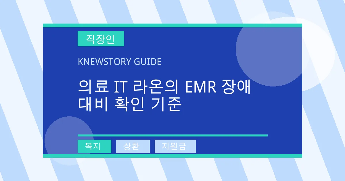 의료 IT 라온의 EMR 장애 대비 확인 기준 - 복지, 상환, 지원금 대표 이미지