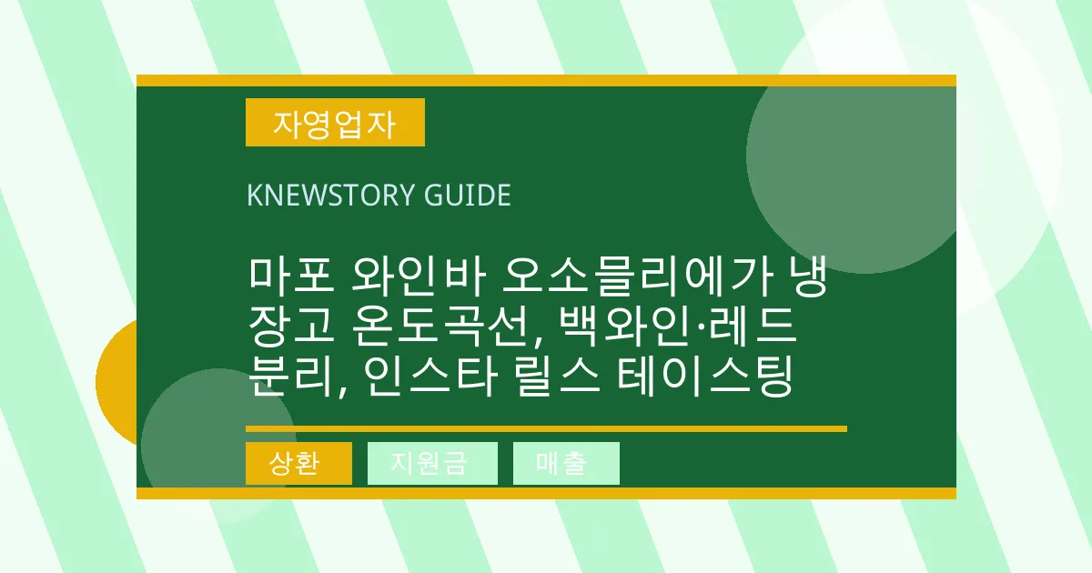 마포 와인바 오소믈리에가 냉장고 온도곡선, 백와인·레드 분리, 인스타 릴스 테이스팅 - 상환, 지원금, 매출 대표 이미지