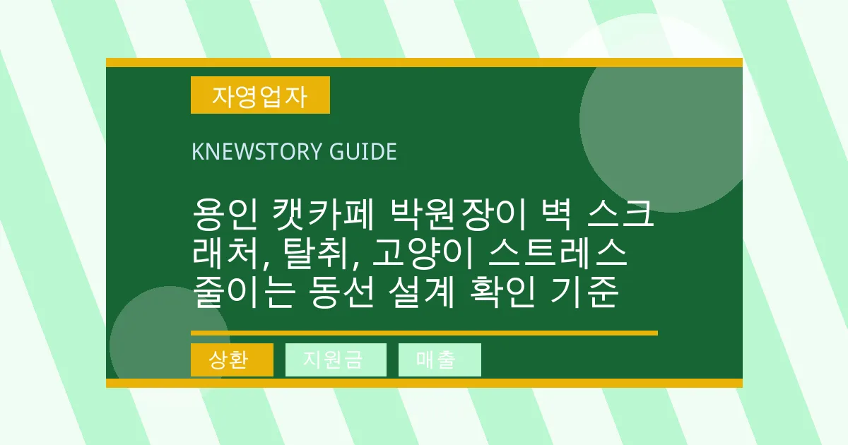 용인 캣카페 박원장이 벽 스크래처, 탈취, 고양이 스트레스 줄이는 동선 설계 확인 기준 - 상환, 지원금, 매출 대표 이미지