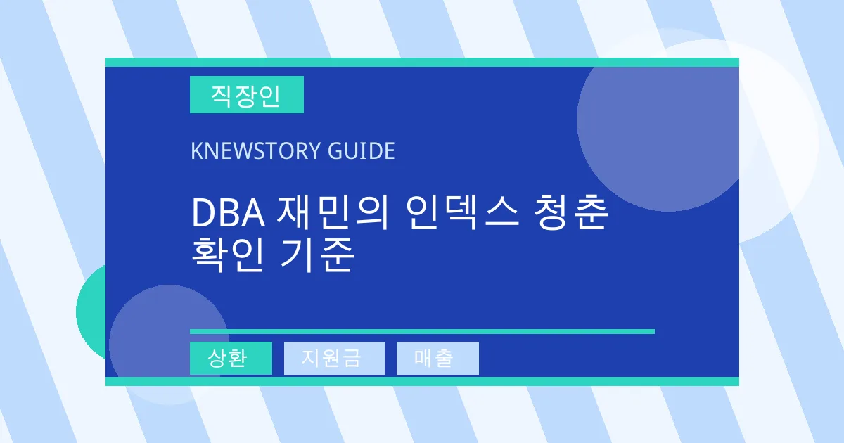 DBA 재민의 인덱스 청춘 확인 기준 - 상환, 지원금, 매출 대표 이미지