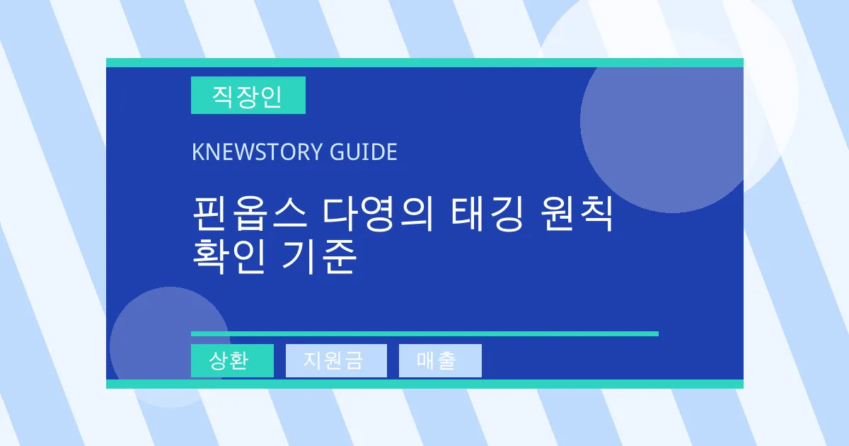 핀옵스 다영의 태깅 원칙 확인 기준 - 상환, 지원금, 매출 대표 이미지