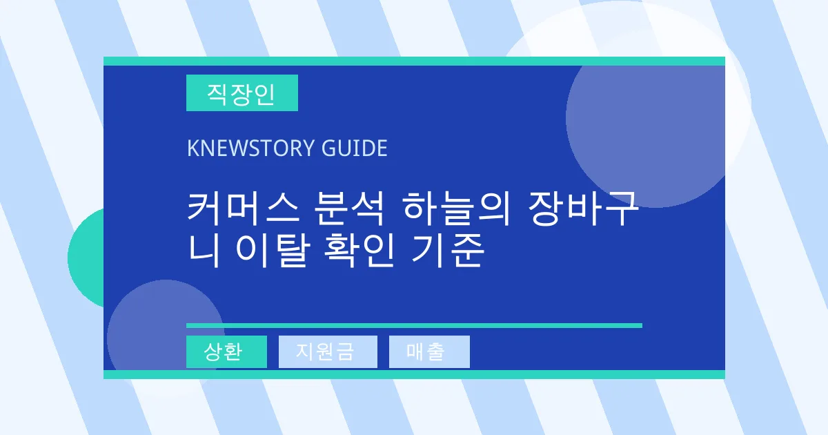 커머스 분석 하늘의 장바구니 이탈 확인 기준 - 상환, 지원금, 매출 대표 이미지