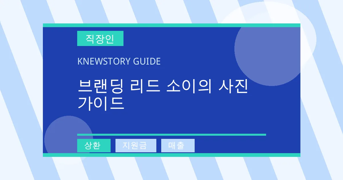 브랜딩 리드 소이의 사진 가이드 - 상환, 지원금, 매출 대표 이미지