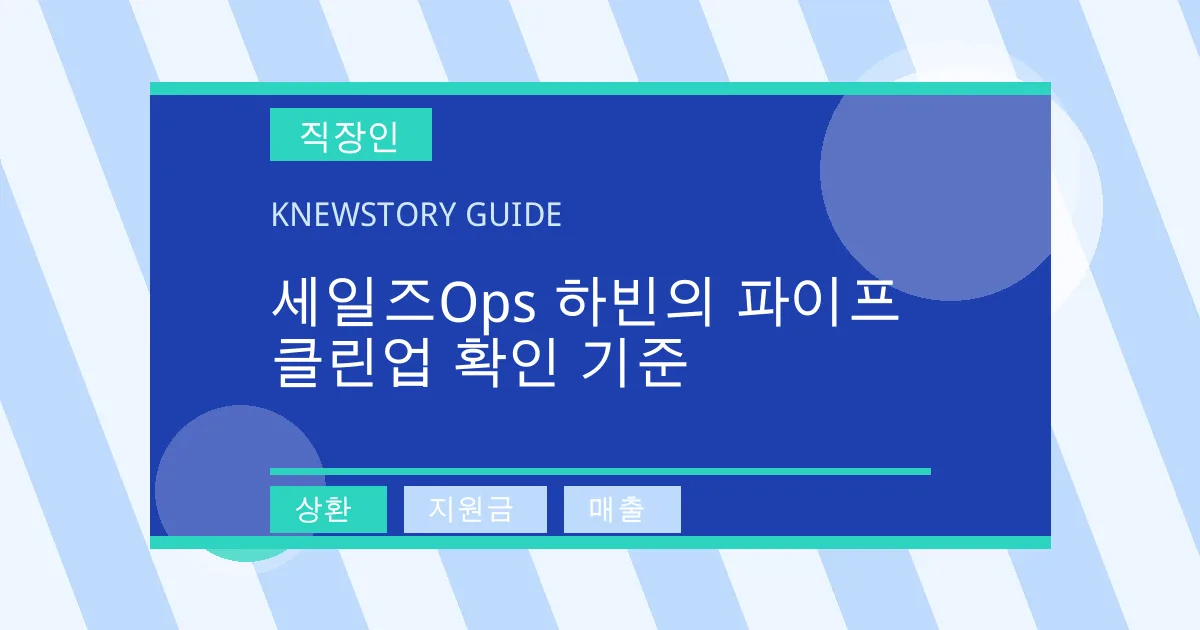 세일즈Ops 하빈의 파이프 클린업 확인 기준 - 상환, 지원금, 매출 대표 이미지