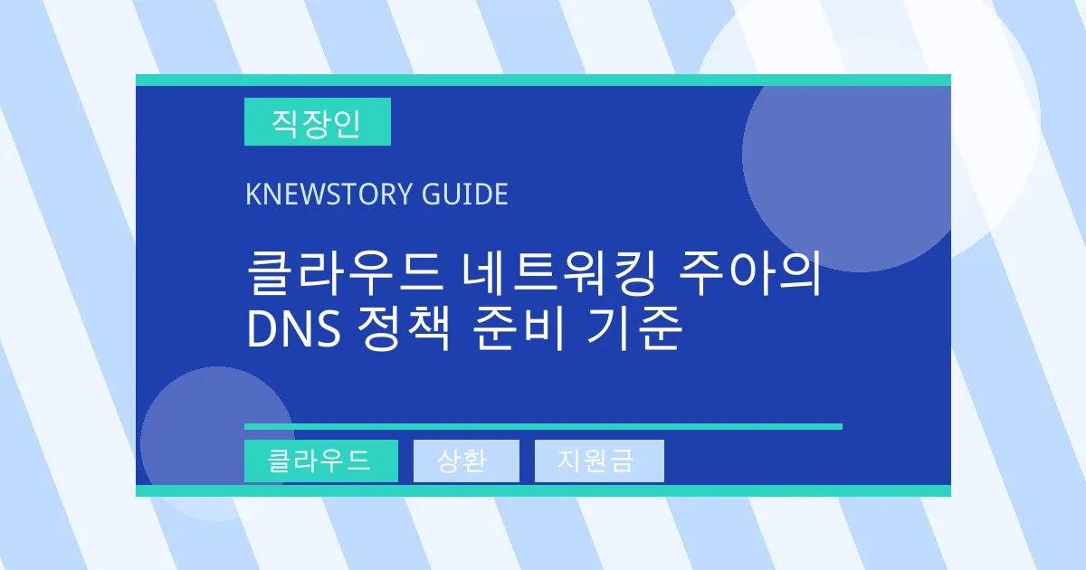 클라우드 네트워킹 주아의 DNS 정책 준비 기준 - 클라우드, 상환, 지원금 대표 이미지