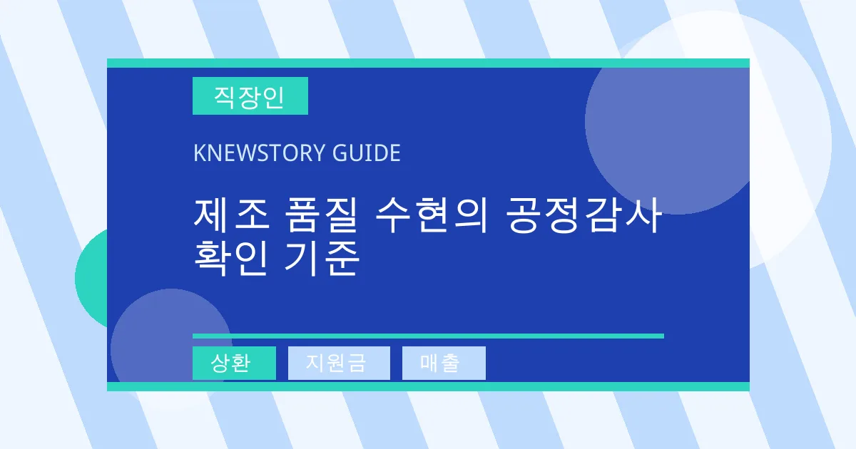 제조 품질 수현의 공정감사 확인 기준 - 상환, 지원금, 매출 대표 이미지