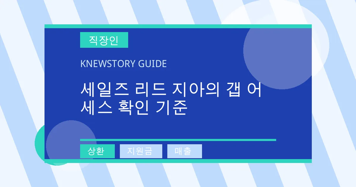 세일즈 리드 지아의 갭 어세스 확인 기준 - 상환, 지원금, 매출 대표 이미지