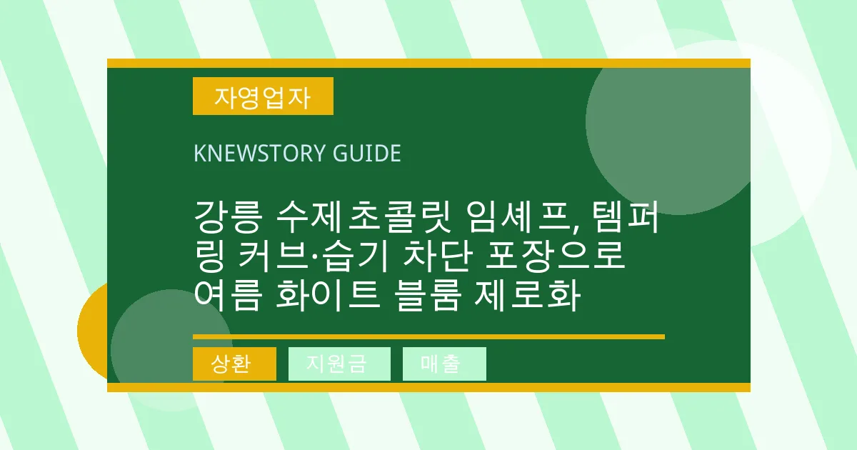강릉 수제초콜릿 임셰프, 템퍼링 커브·습기 차단 포장으로 여름 화이트 블룸 제로화 - 상환, 지원금, 매출 대표 이미지