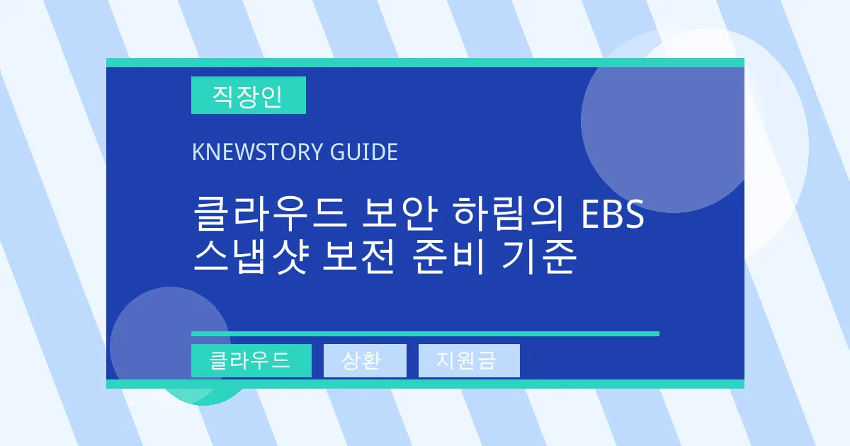 클라우드 보안 하림의 EBS 스냅샷 보전 준비 기준 - 클라우드, 상환, 지원금 대표 이미지
