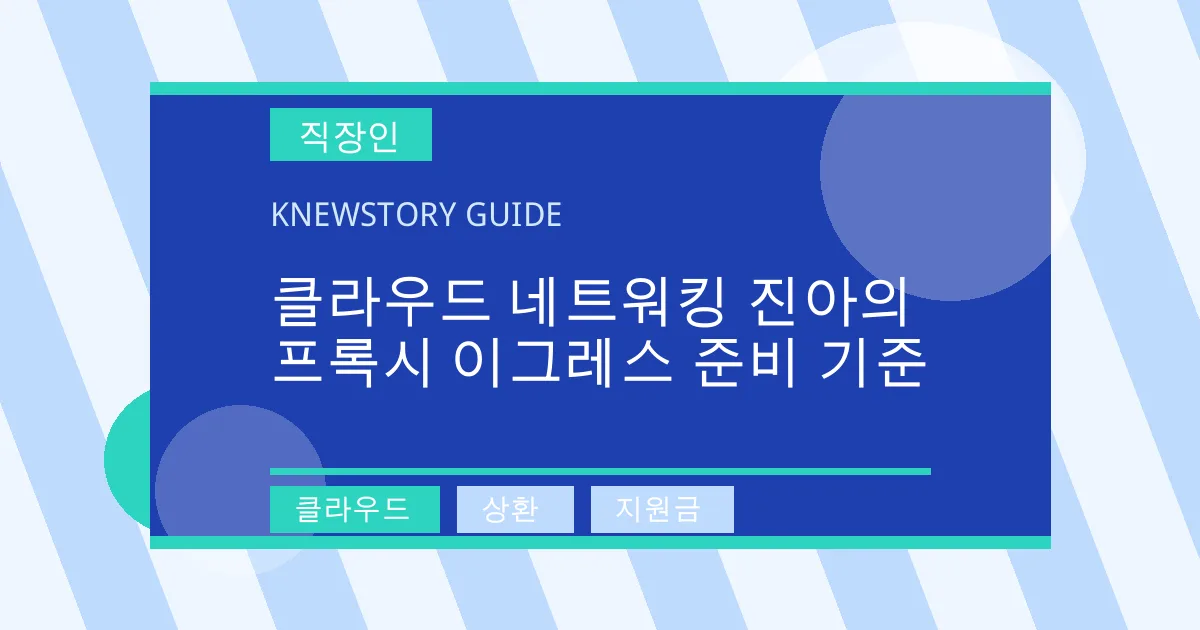 클라우드 네트워킹 진아의 프록시 이그레스 준비 기준 - 클라우드, 상환, 지원금 대표 이미지