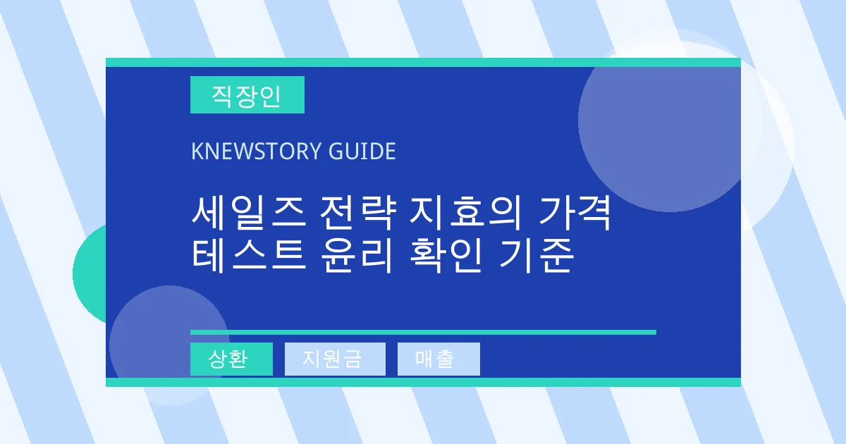 세일즈 전략 지효의 가격 테스트 윤리 확인 기준 - 상환, 지원금, 매출 대표 이미지