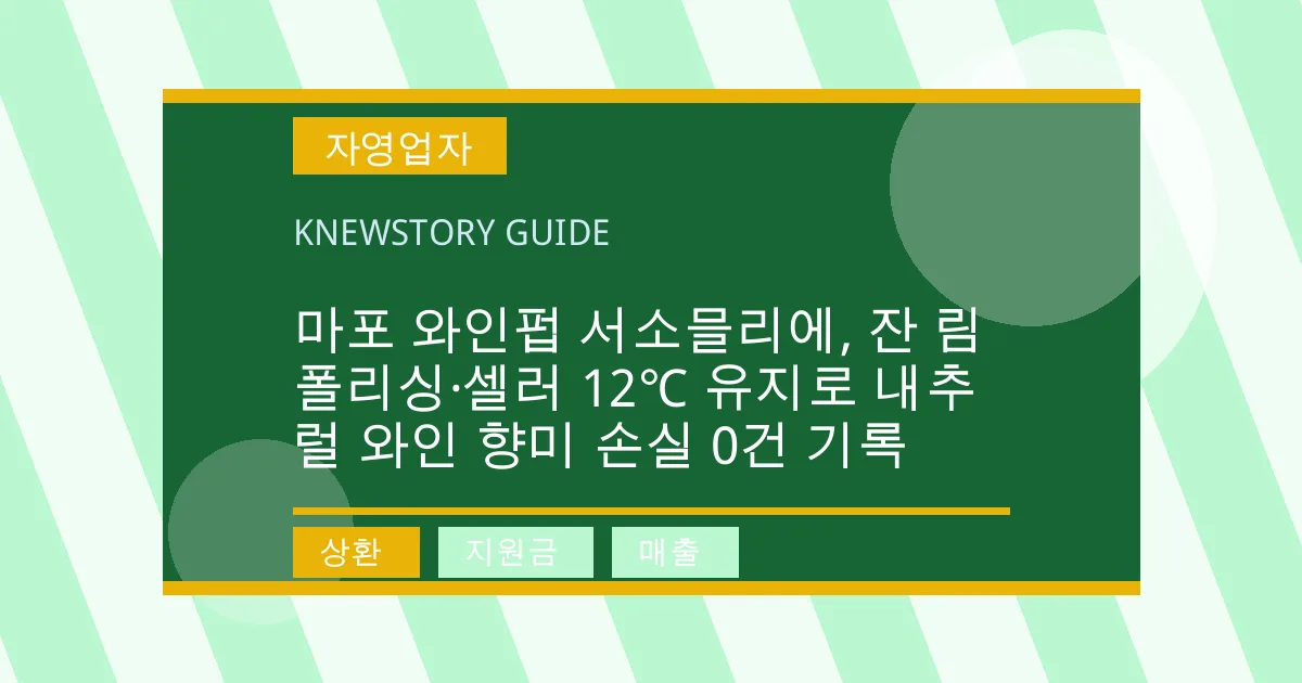 마포 와인펍 서소믈리에, 잔 림 폴리싱·셀러 12℃ 유지로 내추럴 와인 향미 손실 0건 기록 - 상환, 지원금, 매출 대표 이미지