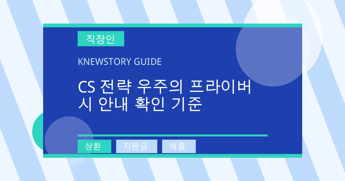 CS 전략 우주의 프라이버시 안내 확인 기준 - 상환, 지원금, 매출 대표 이미지