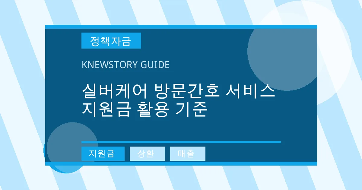 실버케어 방문간호 서비스 지원금 활용 기준 - 지원금, 상환, 매출 대표 이미지