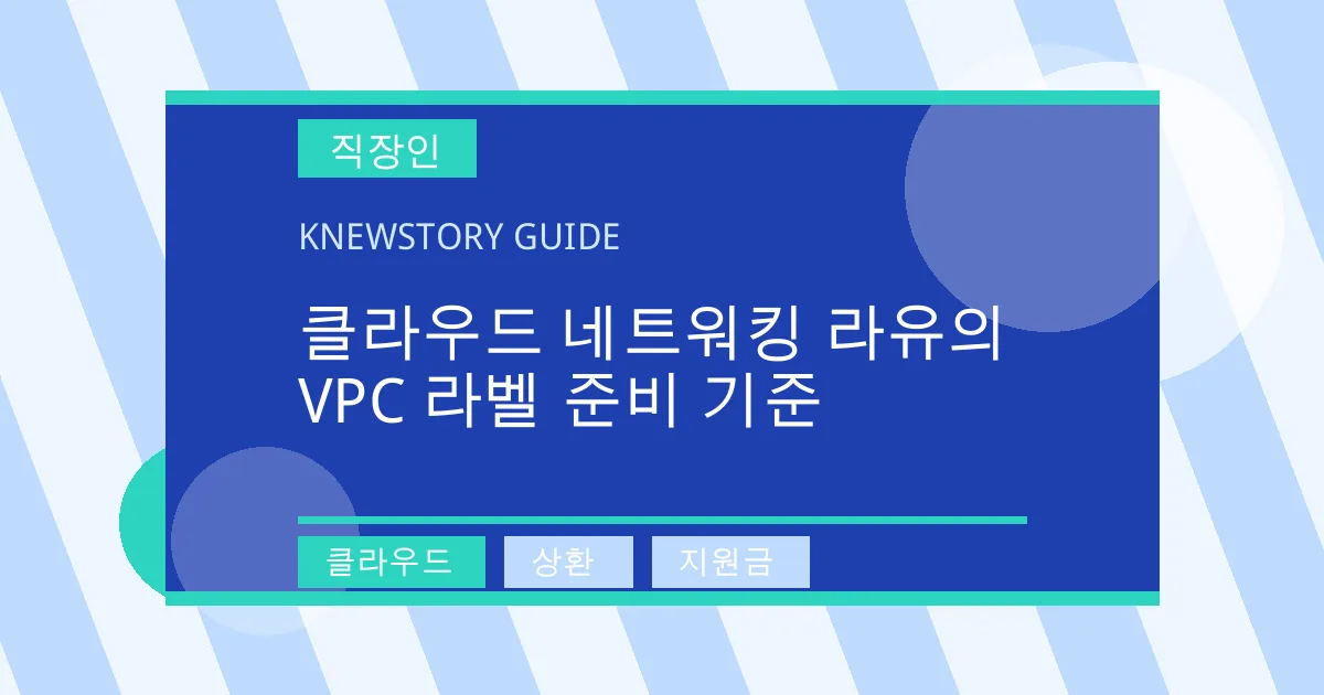 클라우드 네트워킹 라유의 VPC 라벨 준비 기준 - 클라우드, 상환, 지원금 대표 이미지