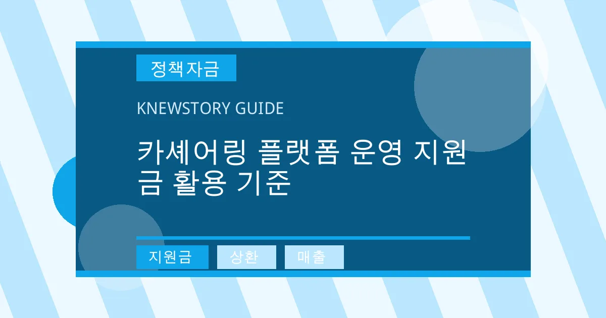카셰어링 플랫폼 운영 지원금 활용 기준 - 지원금, 상환, 매출 대표 이미지
