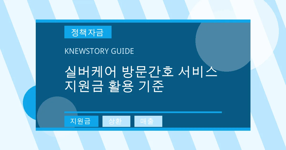 실버케어 방문간호 서비스 지원금 활용 기준 - 지원금, 상환, 매출 대표 이미지