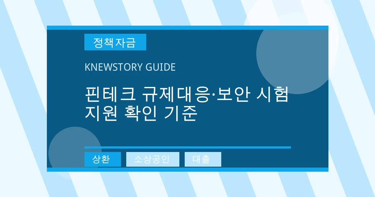 핀테크 규제대응·보안 시험 지원 확인 기준 - 상환, 소상공인, 대출 대표 이미지