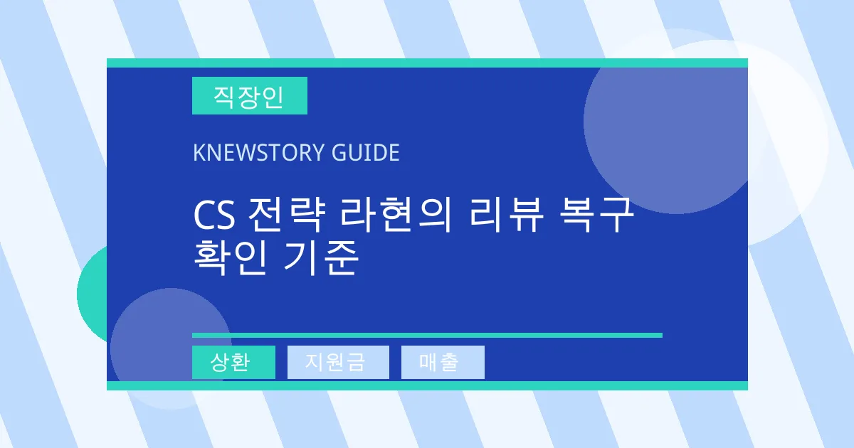 CS 전략 라현의 리뷰 복구 확인 기준 - 상환, 지원금, 매출 대표 이미지