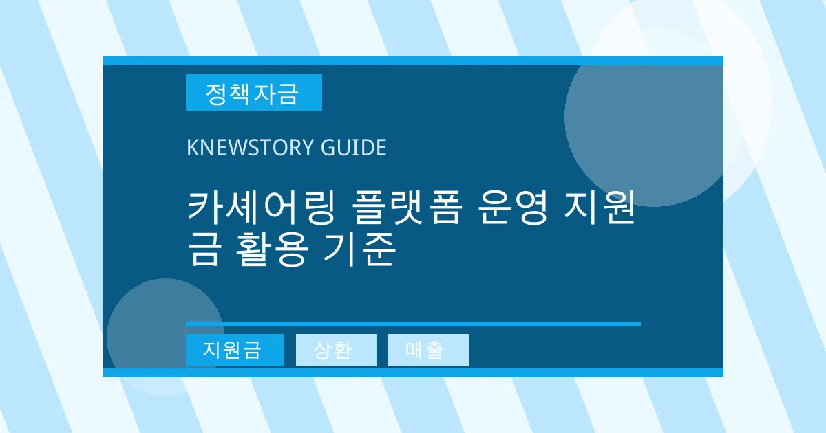 카셰어링 플랫폼 운영 지원금 활용 기준 - 지원금, 상환, 매출 대표 이미지