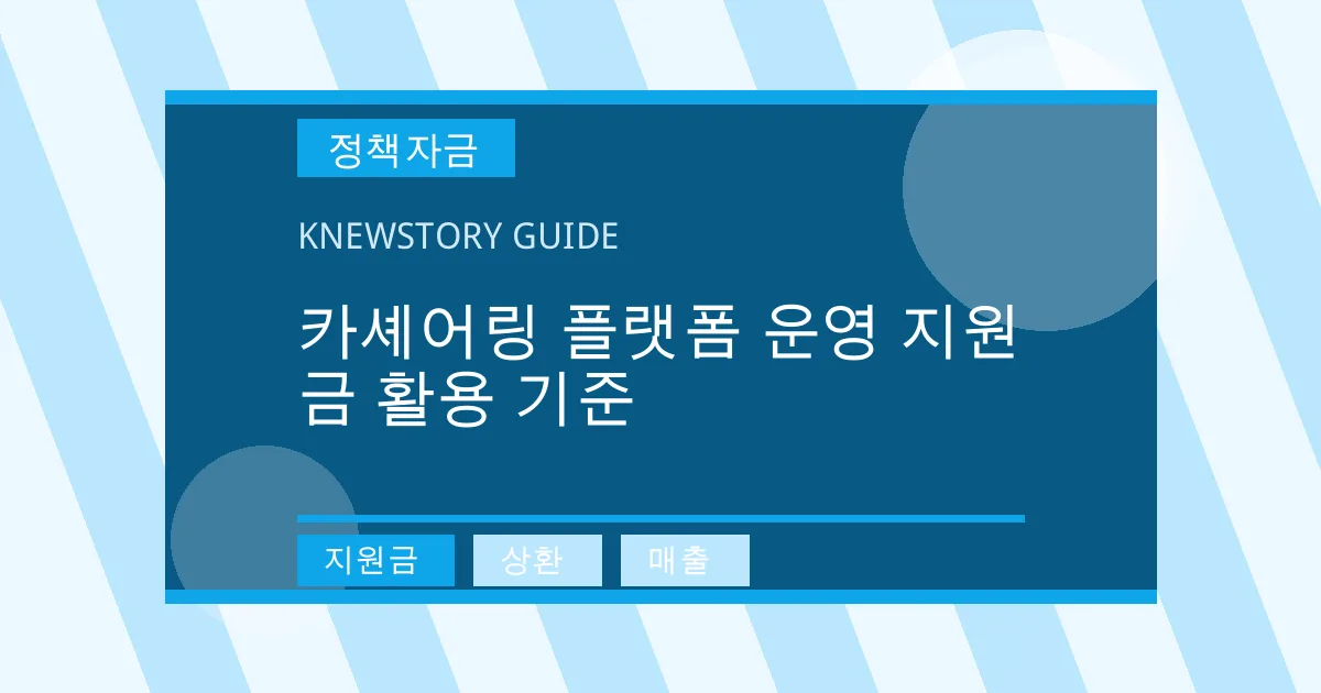 카셰어링 플랫폼 운영 지원금 활용 기준 - 지원금, 상환, 매출 대표 이미지