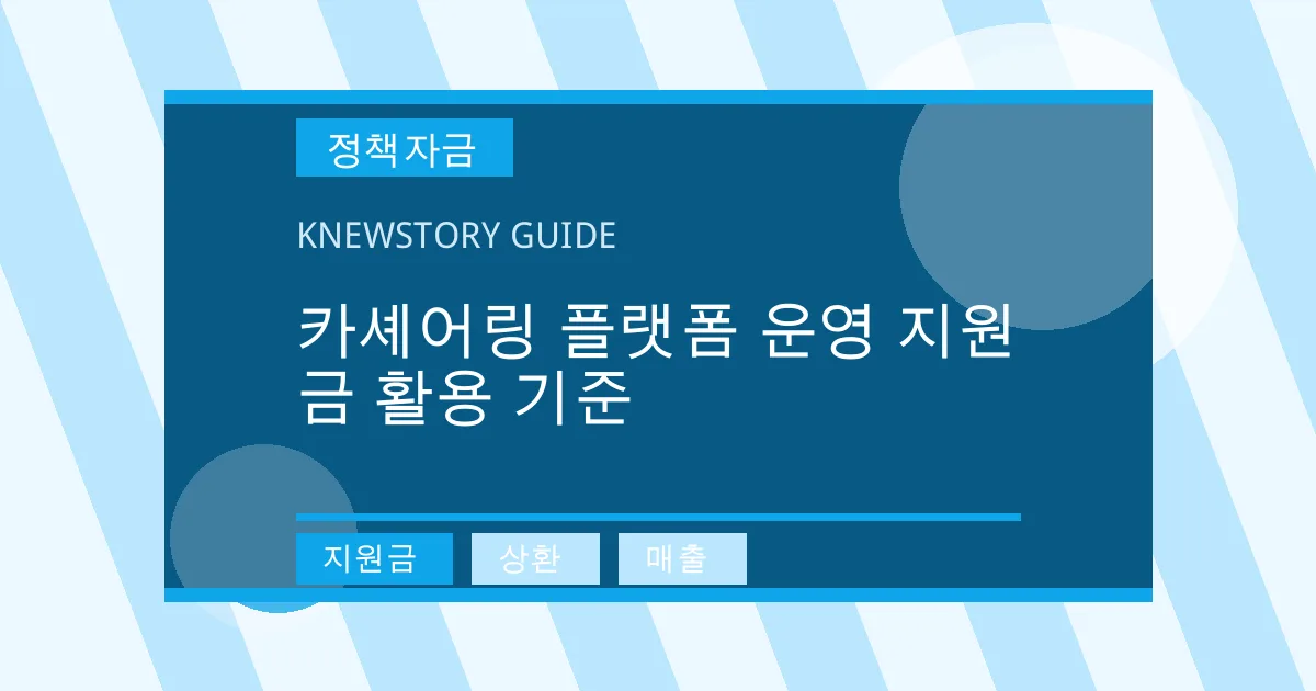 카셰어링 플랫폼 운영 지원금 활용 기준 - 지원금, 상환, 매출 대표 이미지