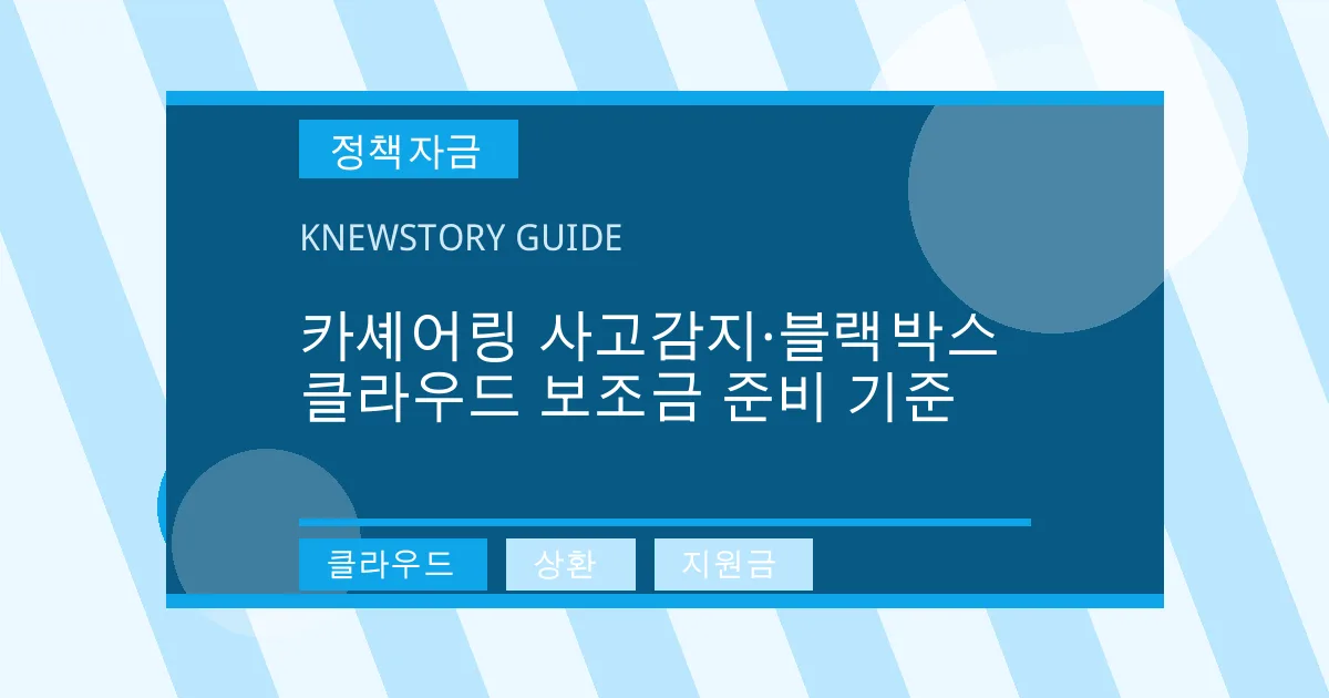 카셰어링 사고감지·블랙박스 클라우드 보조금 준비 기준 - 클라우드, 상환, 지원금 대표 이미지