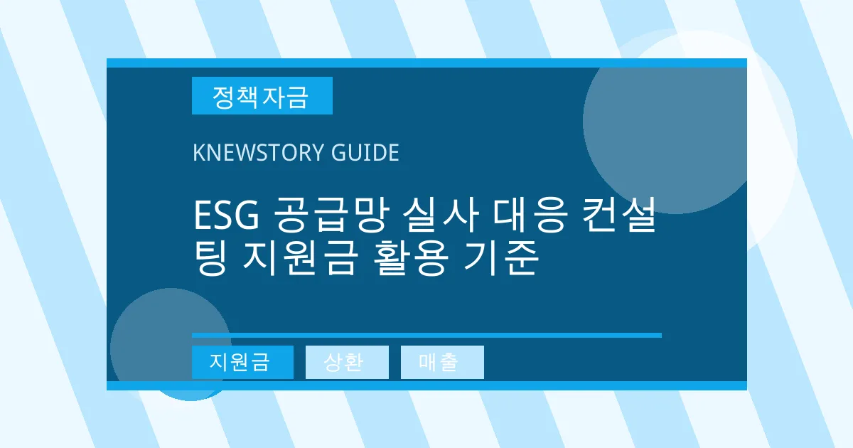 ESG 공급망 실사 대응 컨설팅 지원금 활용 기준 - 지원금, 상환, 매출 대표 이미지
