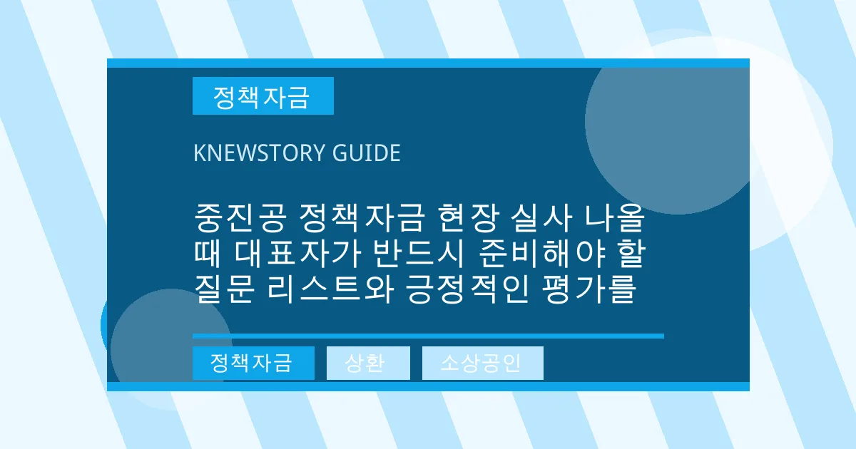 중진공 정책자금 현장 실사 나올 때 대표자가 반드시 준비해야 할 질문 리스트와 긍정적인 평가를 - 정책자금, 상환, 소상공인 대표 이미지