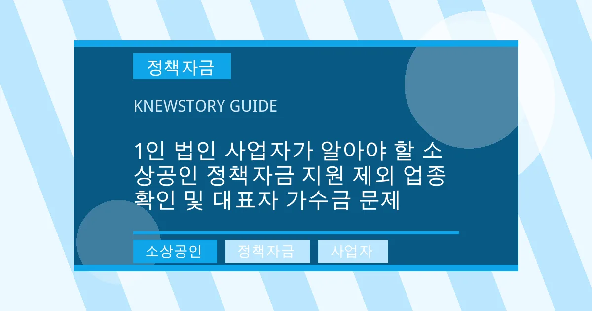 1인 법인 사업자가 알아야 할 소상공인 정책자금 지원 제외 업종 확인 및 대표자 가수금 문제 - 소상공인, 정책자금, 사업자 대표 이미지