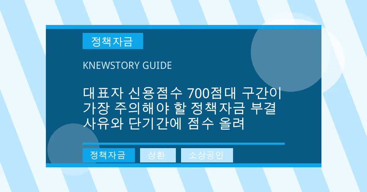 대표자 신용점수 700점대 구간이 가장 주의해야 할 정책자금 부결 사유와 단기간에 점수 올려 - 정책자금, 상환, 소상공인 대표 이미지