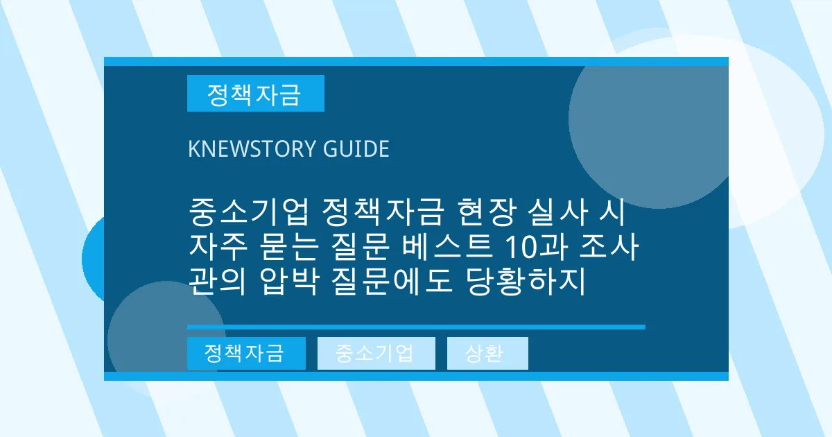 중소기업 정책자금 현장 실사 시 자주 묻는 질문 베스트 10과 조사관의 압박 질문에도 당황하지 - 정책자금, 중소기업, 상환 대표 이미지