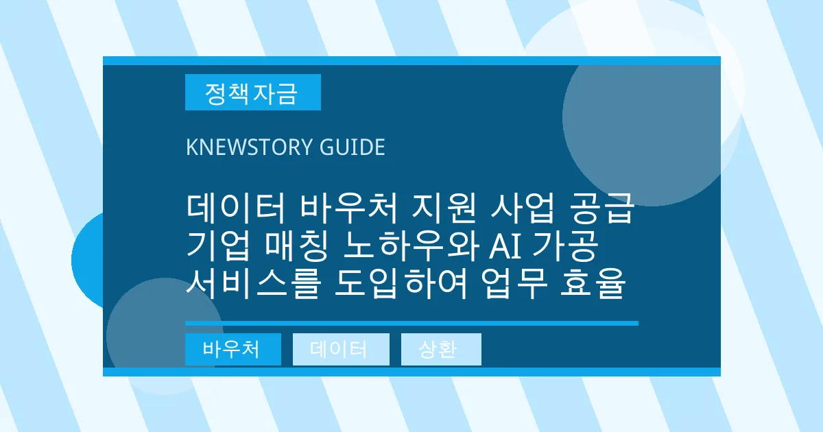 데이터 바우처 지원 사업 공급 기업 매칭 노하우와 AI 가공 서비스를 도입하여 업무 효율 - 바우처, 데이터, 상환 대표 이미지