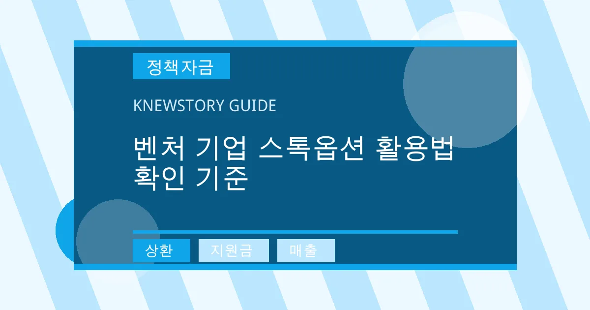 벤처 기업 스톡옵션 활용법 확인 기준 - 상환, 지원금, 매출 대표 이미지