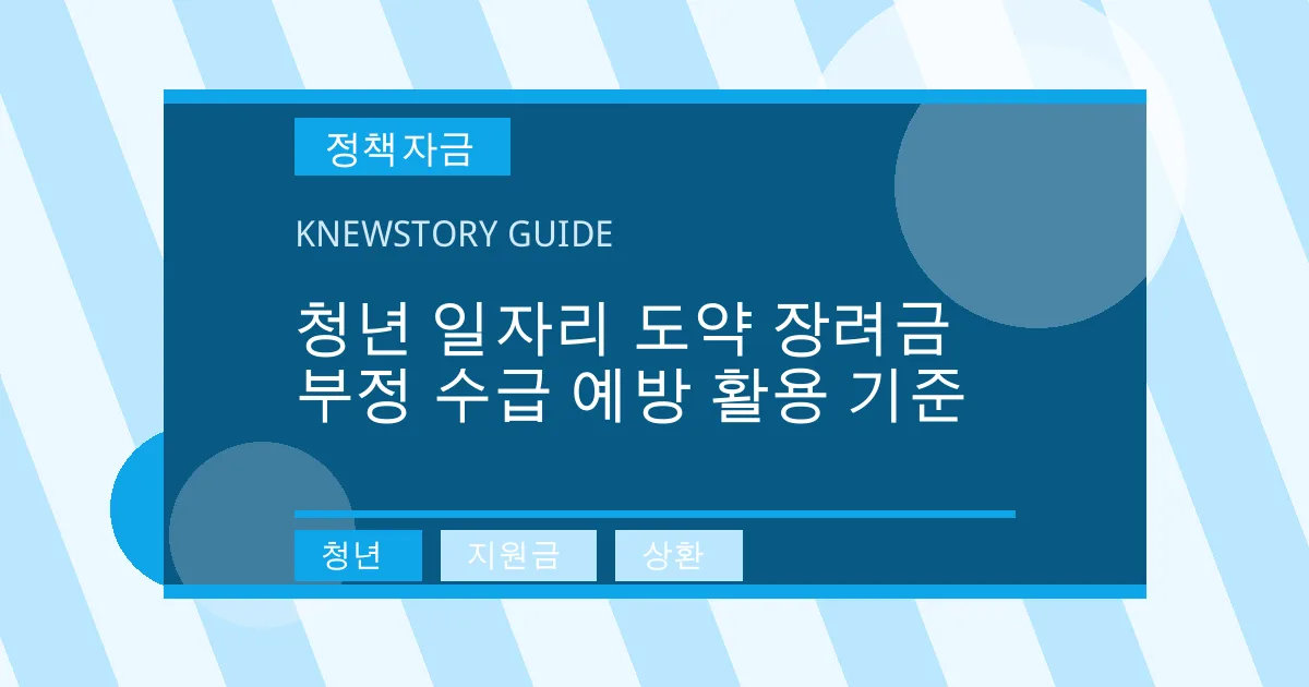 청년 일자리 도약 장려금 부정 수급 예방 활용 기준 - 청년, 지원금, 상환 대표 이미지